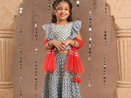 Lil Drama Jaipur Print Stylish Cotton Lehanga with Choli and Net Dupatta Set for Girls - Grey Fashion