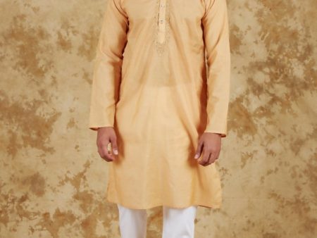 Bluesaanchi Men s Chandery Silk Khaki Embroidered Kurta Set Online Hot Sale