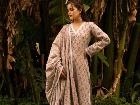 Pomcha Jaipur Gaurangi Grey Ph0Ol Jaal Cotton Suit Set Supply